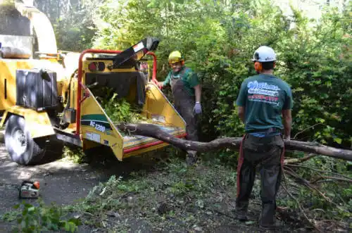 tree services Redstone Arsenal